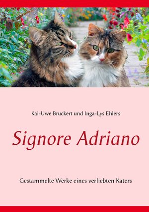 Buchcover Signore Adriano | Kai-Uwe Bruckert | EAN 9783738607192 | ISBN 3-7386-0719-6 | ISBN 978-3-7386-0719-2