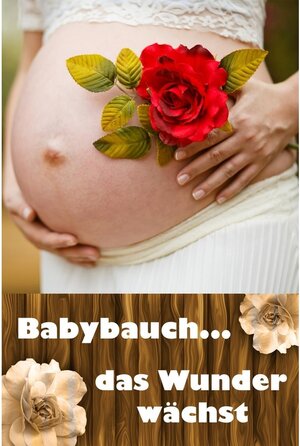 Buchcover Babybauch...das Wunder wächst | Laura Paulsen | EAN 9783738642384 | ISBN 3-7386-4238-2 | ISBN 978-3-7386-4238-4