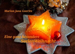 Buchcover SeelenWeihnacht | Marion Jana Goeritz | EAN 9783738656169 | ISBN 3-7386-5616-2 | ISBN 978-3-7386-5616-9