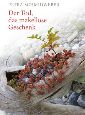 Buchcover Der Tod, das makellose Geschenk | Petra Schmidweber | EAN 9783738672343 | ISBN 3-7386-7234-6 | ISBN 978-3-7386-7234-3