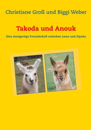 Buchcover Takoda und Anouk | Christiane Groß | EAN 9783739207827 | ISBN 3-7392-0782-5 | ISBN 978-3-7392-0782-7