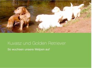 Buchcover Kuvasz und Golden Retriever | Katrin Lösch | EAN 9783739272450 | ISBN 3-7392-7245-7 | ISBN 978-3-7392-7245-0