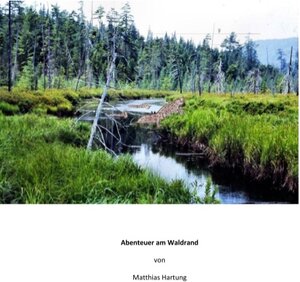 Buchcover Abenteuer am Waldrand | Matthias Hartung | EAN 9783740708405 | ISBN 3-7407-0840-9 | ISBN 978-3-7407-0840-5