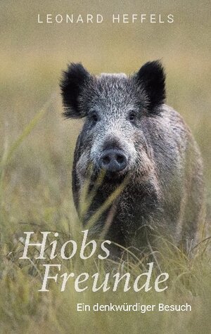Buchcover Hiobs Freunde | Leonard Heffels | EAN 9783740713485 | ISBN 3-7407-1348-8 | ISBN 978-3-7407-1348-5