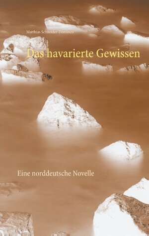 Buchcover Das havarierte Gewissen | Matthias Schneider-Dominco | EAN 9783740725167 | ISBN 3-7407-2516-8 | ISBN 978-3-7407-2516-7