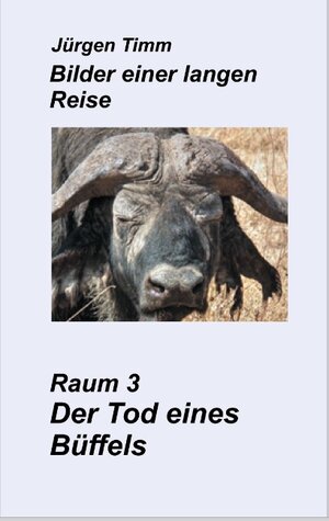 Buchcover Raum 3 Der Tod eines Büffels | Jürgen Timm | EAN 9783740728946 | ISBN 3-7407-2894-9 | ISBN 978-3-7407-2894-6