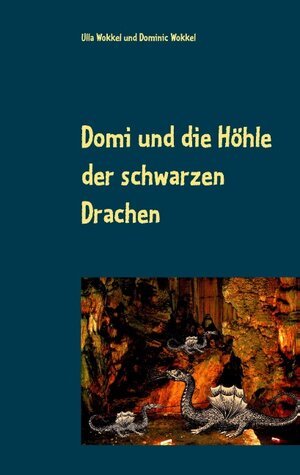 Buchcover Domi und die Höhle der schwarzen Drachen | Ulla Wokkel | EAN 9783740730963 | ISBN 3-7407-3096-X | ISBN 978-3-7407-3096-3