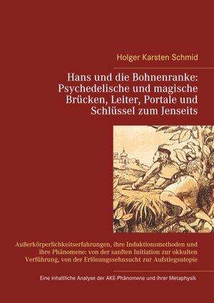 Buchcover Hans und die Bohnenranke: Psychedelische und magische Brücken, Leiter, Portale und Schlüssel zum Jenseits | Holger Karsten Schmid | EAN 9783740752729 | ISBN 3-7407-5272-6 | ISBN 978-3-7407-5272-9