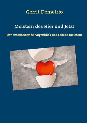 Buchcover Meistern des Hier und Jetzt | Gerrit Demetrio | EAN 9783740770402 | ISBN 3-7407-7040-6 | ISBN 978-3-7407-7040-2