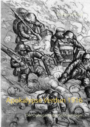 Buchcover Apokalypse Verdun 1916 | Wolfgang Paland | EAN 9783741236983 | ISBN 3-7412-3698-5 | ISBN 978-3-7412-3698-3