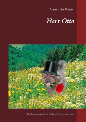 Buchcover Herr Otto  | EAN 9783741251559 | ISBN 3-7412-5155-0 | ISBN 978-3-7412-5155-9