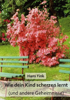 Buchcover Wie dein Kind scherzen lernt | Hans Fink | EAN 9783741266492 | ISBN 3-7412-6649-3 | ISBN 978-3-7412-6649-2