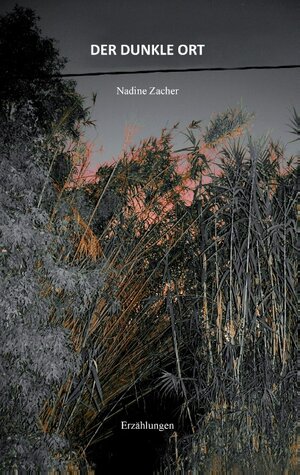 Buchcover Der dunkle Ort | Nadine Zacher | EAN 9783741273162 | ISBN 3-7412-7316-3 | ISBN 978-3-7412-7316-2