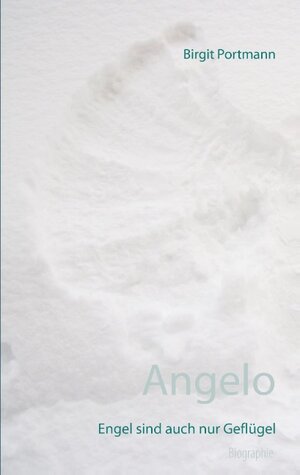 Buchcover Angelo | Birgit Portmann | EAN 9783741285943 | ISBN 3-7412-8594-3 | ISBN 978-3-7412-8594-3