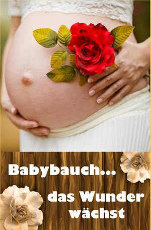 Buchcover Babybauch...das Wunder wächst | Laura Paulsen | EAN 9783741879432 | ISBN 3-7418-7943-6 | ISBN 978-3-7418-7943-2