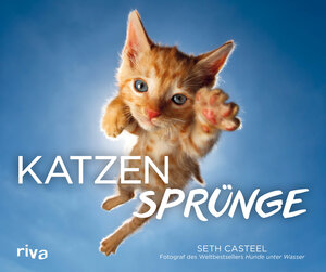 Buchcover Katzensprünge | Seth Casteel | EAN 9783742311719 | ISBN 3-7423-1171-9 | ISBN 978-3-7423-1171-9