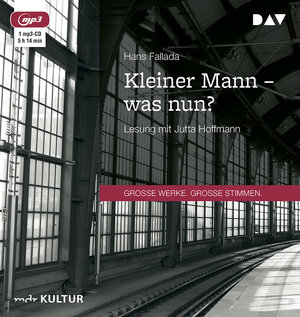 Buchcover Kleiner Mann – was nun? | Hans Fallada | EAN 9783742404282 | ISBN 3-7424-0428-8 | ISBN 978-3-7424-0428-2