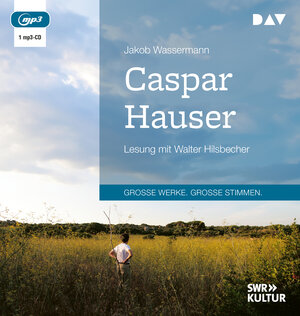 Buchcover Caspar Hauser | Jakob Wassermann | EAN 9783742431707 | ISBN 3-7424-3170-6 | ISBN 978-3-7424-3170-7
