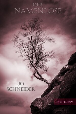 Buchcover Der Namenlose | Jo Schneider | EAN 9783742799142 | ISBN 3-7427-9914-2 | ISBN 978-3-7427-9914-2