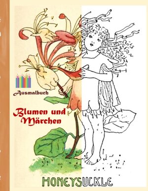 Buchcover Blumen und Märchen (Ausmalbuch) | Luisa Rose | EAN 9783743102002 | ISBN 3-7431-0200-5 | ISBN 978-3-7431-0200-2