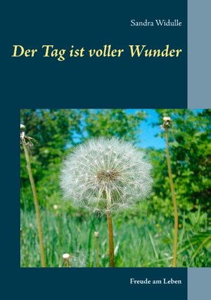 Buchcover Der Tag ist voller Wunder | Sandra Widulle | EAN 9783743103733 | ISBN 3-7431-0373-7 | ISBN 978-3-7431-0373-3