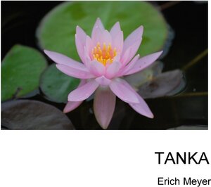Buchcover Tanka | Erich Meyer | EAN 9783743106864 | ISBN 3-7431-0686-8 | ISBN 978-3-7431-0686-4