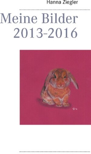 Buchcover Meine Bilder 2013-2016 | Hanna Ziegler | EAN 9783743115675 | ISBN 3-7431-1567-0 | ISBN 978-3-7431-1567-5