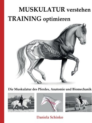 Buchcover Muskulatur verstehen - Training optimieren | Daniela Schinko | EAN 9783743118119 | ISBN 3-7431-1811-4 | ISBN 978-3-7431-1811-9