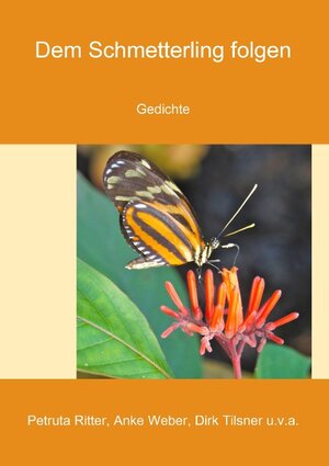 Buchcover Dem Schmetterling folgen | Anke Weber | EAN 9783743152441 | ISBN 3-7431-5244-4 | ISBN 978-3-7431-5244-1