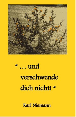 Buchcover "... und verschwende dich nicht!" | Karl Niemann | EAN 9783743159839 | ISBN 3-7431-5983-X | ISBN 978-3-7431-5983-9
