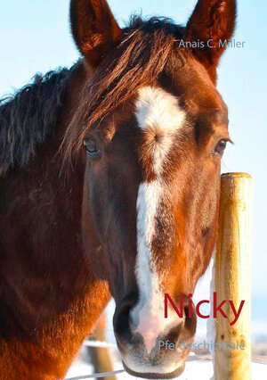 Buchcover Nicky | Anais C. Miller | EAN 9783743163430 | ISBN 3-7431-6343-8 | ISBN 978-3-7431-6343-0