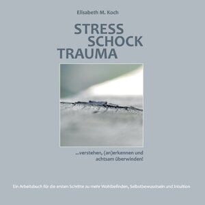 Buchcover Stress Schock Trauma ... verstehen, (an)erkennen und achtsam überwinden | Elisabeth M. Koch | EAN 9783743180925 | ISBN 3-7431-8092-8 | ISBN 978-3-7431-8092-5