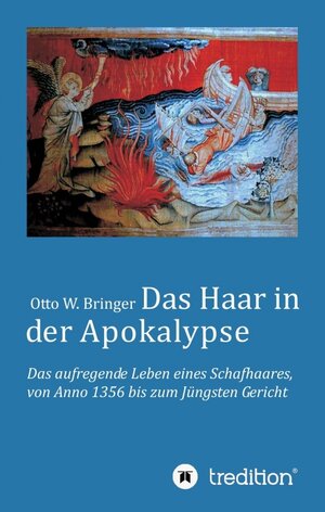 Buchcover Das Haar in der Apokalypse | Otto W. Bringer | EAN 9783743960688 | ISBN 3-7439-6068-0 | ISBN 978-3-7439-6068-8