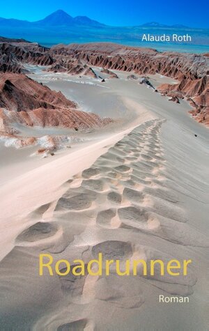 Buchcover Roadrunner | Alauda Roth | EAN 9783744834520 | ISBN 3-7448-3452-2 | ISBN 978-3-7448-3452-0