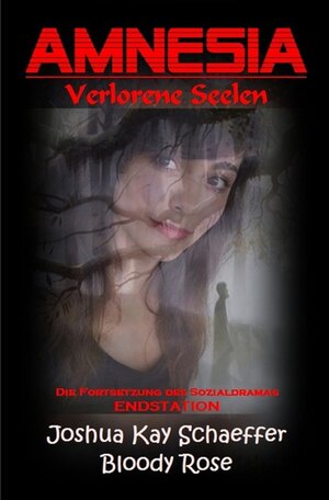 Buchcover Endstation / Amnesia - Verlorene Seelen | Joshua Kay Schaeffer | EAN 9783745095715 | ISBN 3-7450-9571-5 | ISBN 978-3-7450-9571-5