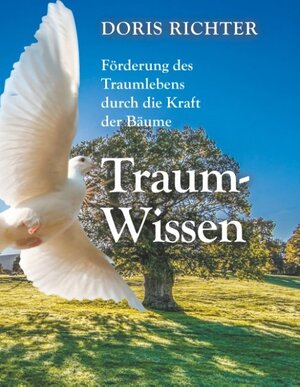Buchcover Traum - Wissen | Doris Richter | EAN 9783746080765 | ISBN 3-7460-8076-2 | ISBN 978-3-7460-8076-5