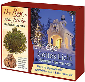 Möge Gottes Licht in deinem Herzen sein. Set: Buch und Rose von Jericho. Herzliche Segenswünsche zum Weihnachtsfest & zum neuen Jahr