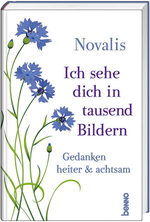 Buchcover Ich sehe dich in tausend Bildern | Novalis | EAN 9783746261386 | ISBN 3-7462-6138-4 | ISBN 978-3-7462-6138-6