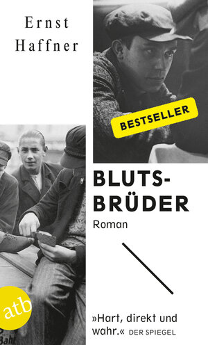 Buchcover Blutsbrüder | Ernst Haffner | EAN 9783746630694 | ISBN 3-7466-3069-X | ISBN 978-3-7466-3069-4