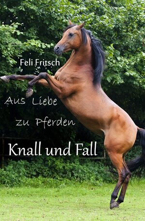 Buchcover Aus Liebe zu Pferden / Aus Liebe zu Pferden - Knall und Fall | Feli Fritsch | EAN 9783746751696 | ISBN 3-7467-5169-1 | ISBN 978-3-7467-5169-6
