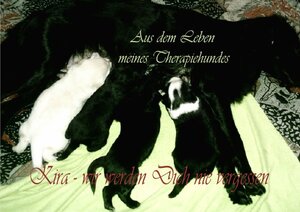 Buchcover Aus dem Leben meines Therapiehundes | Carola Käpernick | EAN 9783746794662 | ISBN 3-7467-9466-8 | ISBN 978-3-7467-9466-2