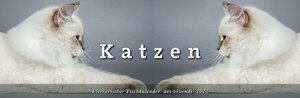 Buchcover Literarischer Tischkalender Katzen 2022  | EAN 9783747202654 | ISBN 3-7472-0265-9 | ISBN 978-3-7472-0265-4