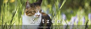 Buchcover Tischkalender Katzen 2023 | ars vivendi verlag | EAN 9783747203798 | ISBN 3-7472-0379-5 | ISBN 978-3-7472-0379-8