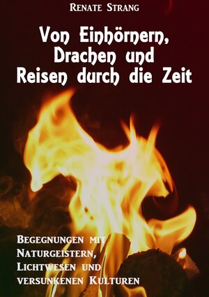 Buchcover Von Einhörnern, Drachen und Reisen durch die Zeit | Renate Strang | EAN 9783748138532 | ISBN 3-7481-3853-9 | ISBN 978-3-7481-3853-2