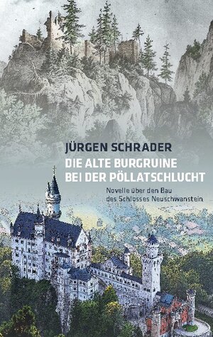 Buchcover Die alte Burgruine bei der Pöllatschlucht | Jürgen Schrader | EAN 9783749403318 | ISBN 3-7494-0331-7 | ISBN 978-3-7494-0331-8