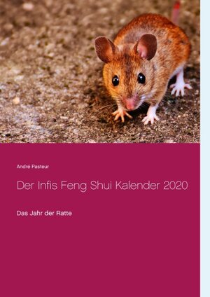 Buchcover Der Infis Feng Shui Kalender 2020 | André Pasteur | EAN 9783749480876 | ISBN 3-7494-8087-7 | ISBN 978-3-7494-8087-6