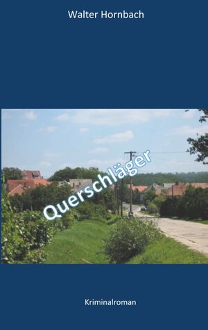 Buchcover Querschläger | Walter Hornbach | EAN 9783749481620 | ISBN 3-7494-8162-8 | ISBN 978-3-7494-8162-0