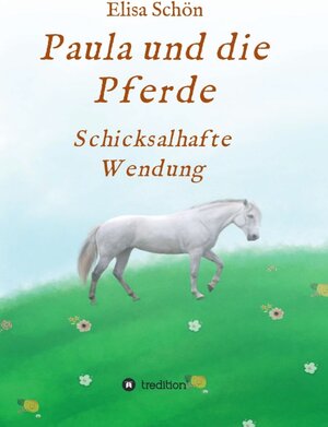 Buchcover Paula und die Pferde | Elisa Schön | EAN 9783749720170 | ISBN 3-7497-2017-7 | ISBN 978-3-7497-2017-0
