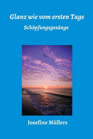 Buchcover Glanz wie vom ersten Tage | Dr. Josefine Müllers | EAN 9783749765584 | ISBN 3-7497-6558-8 | ISBN 978-3-7497-6558-4