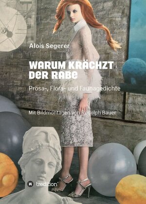 Buchcover Warum krächzt der Rabe | Alois Segerer | EAN 9783749790272 | ISBN 3-7497-9027-2 | ISBN 978-3-7497-9027-2